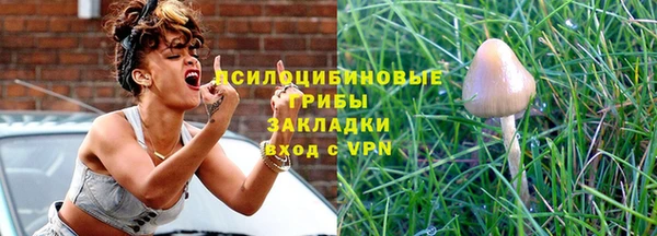 соль ск Липки