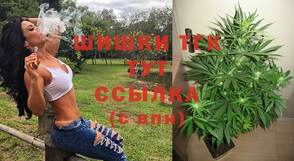 соль ск Липки